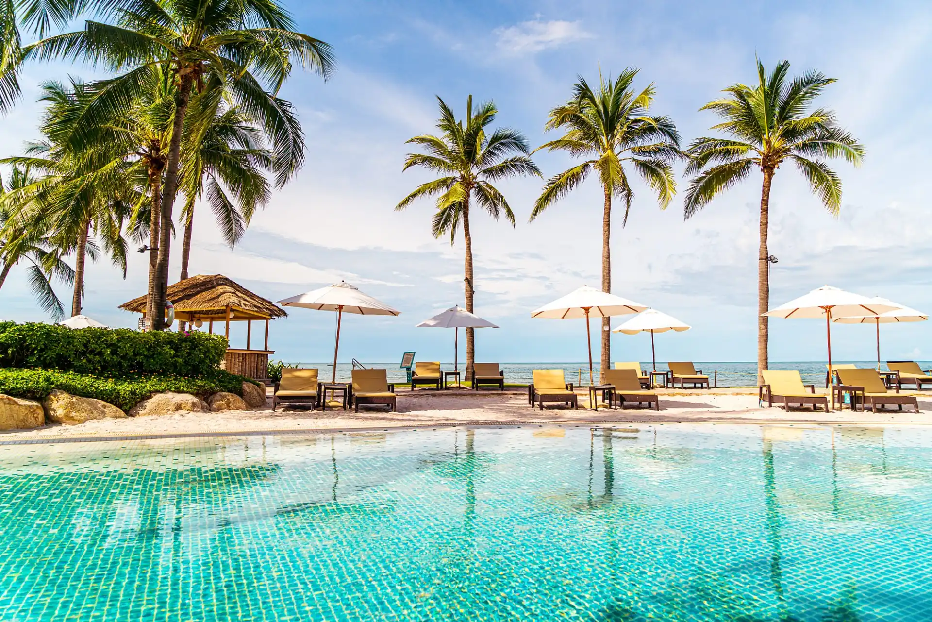 Resort pool lined with palm trees and sun loungers by the sea